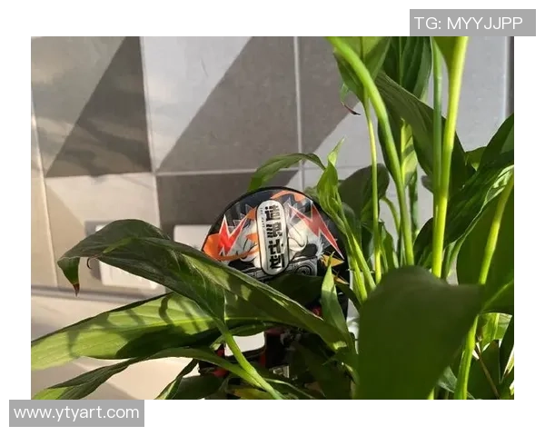 赛后复盘:重庆滑板队 vs 南京滑板队的力量